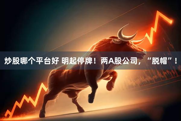炒股哪个平台好 明起停牌！两A股公司，“脱帽”！