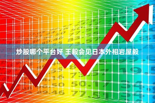 炒股哪个平台好 王毅会见日本外相岩屋毅
